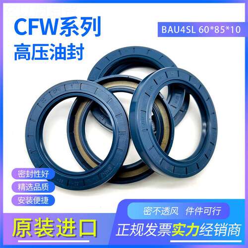 德国进口FW高压骨架油封B1AU4SL 60*8C5*JEO0双唇密件现货正封品