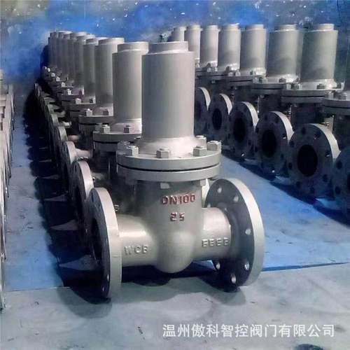 FDZ45H-16C DN65 铸钢防盗法兰闸阀带开关刻度表 暗杆闸阀 FDZ45H