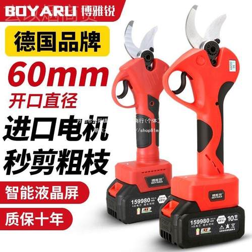 德国进口电动修枝充剪锂电剪刀果树剪剪粗RNZ剪无线电园林树枝修