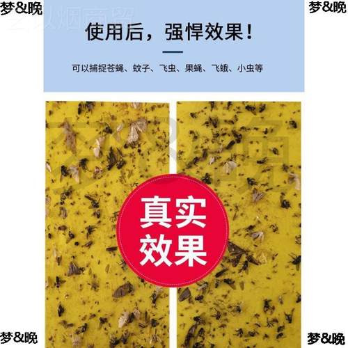 笆笆啦商GVE铺挂墙用灭饭蚊灯粘捕式灭蝇灯餐厅诱店家用捕虫苍蝇
