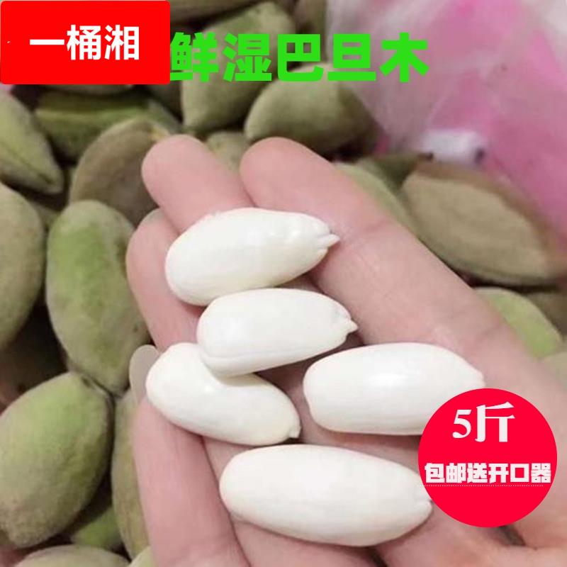 新鲜旦木现摘湿旦木带青皮绿皮生旦木扁桃仁新鲜大杏仁5斤