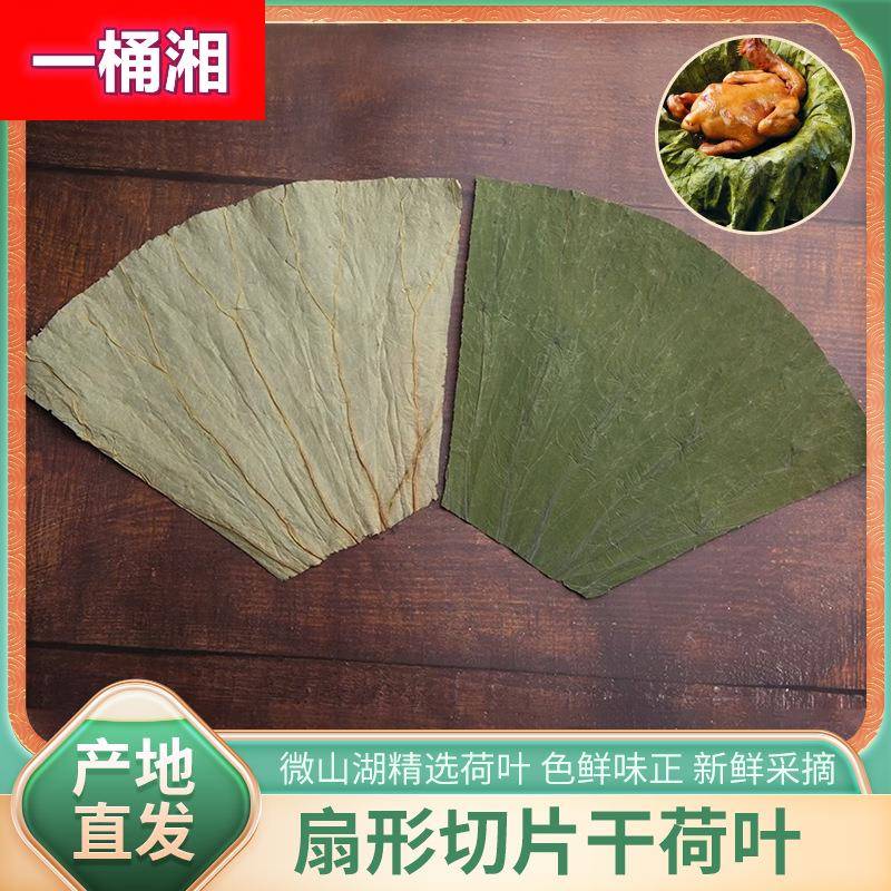 干荷叶包邮微山湖扇形切片荷叶糯米鸡包饭叫花鸡餐饮整张散装