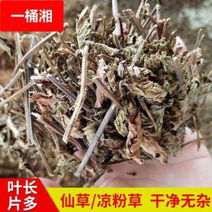 福建仙草凉粉草1kg 无土凉茶饮料原料 仙草冻 邱福平福建仙
