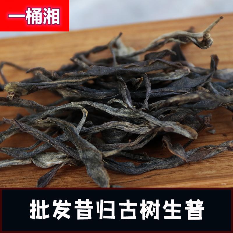 云南古树普洱茶叶2019年头春临沧古树茶500克昔归古树散茶