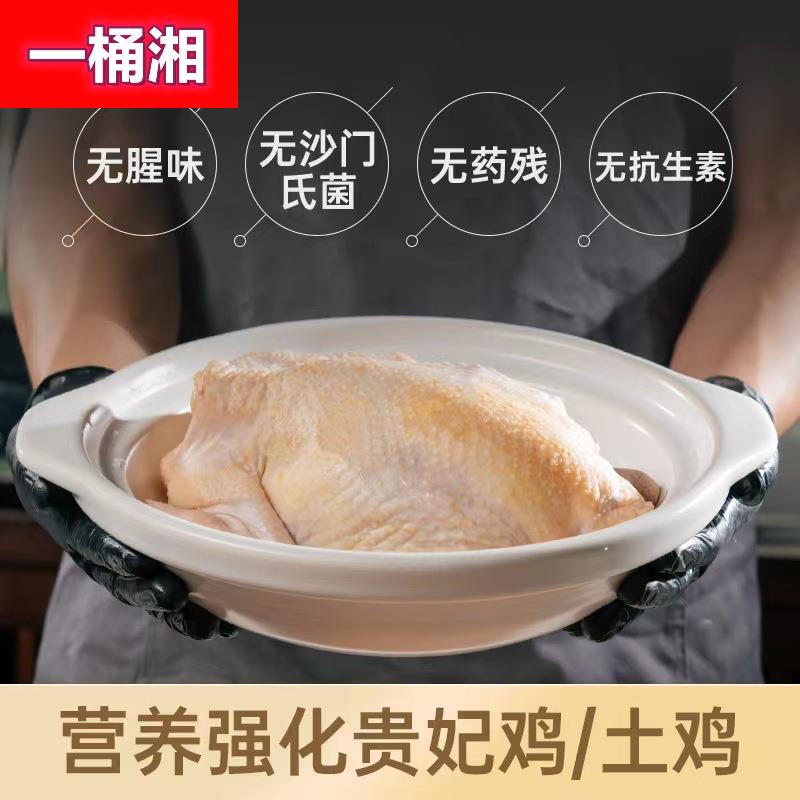 500天老母鸡整只新鲜现杀富硒可生食土鸡月子鸡春节送礼商用