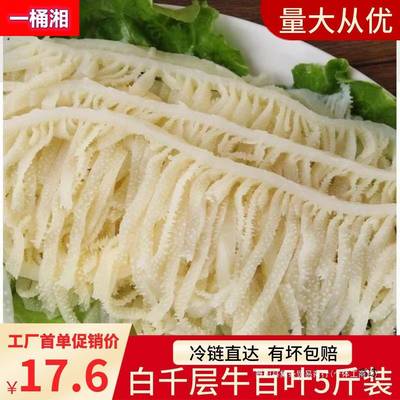 白千层肚新鲜5斤装重庆火锅牛百叶牛杂牛肚毛肚火锅配菜商用食材