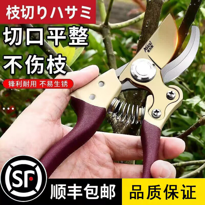 园艺剪枝剪刀修枝剪园林修剪树枝果树嫁接摘水果花椒专用剪子工具图片