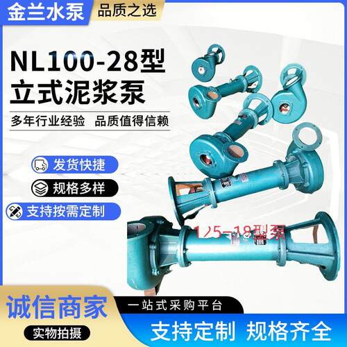 NL100-28型立式泥浆泵4寸22KW扬程160立方铸铁液下水泵