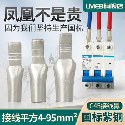 凤凰鸭嘴铜鼻子国标A级加厚空开C45线鼻子空开插针4610162535平方