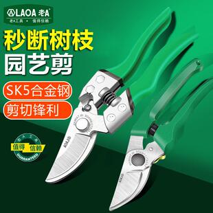 老A 园林园艺剪刀园丁剪花枝修剪树枝剪刀果枝剪修花剪刀修枝剪刀