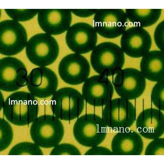1um 绿色荧光微球   10ml