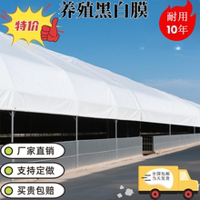 养殖黑白膜大棚养殖专用膜加厚进口抗老化降温反光塑料膜鱼塘防渗