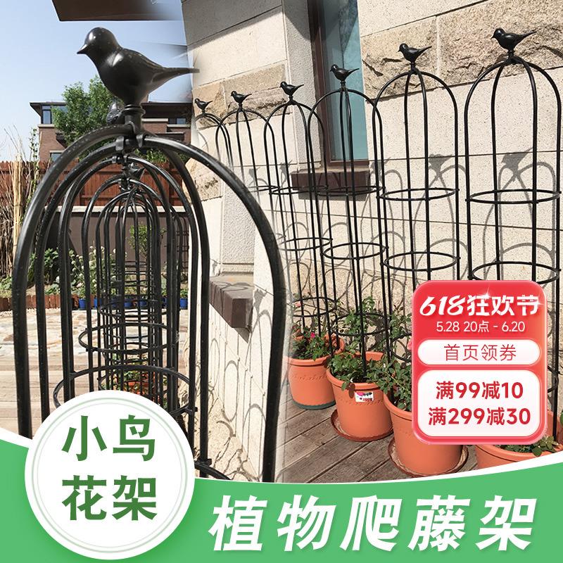海蒂的花园 园之助小鸟玫瑰花架月季铁线莲爬藤植物通用