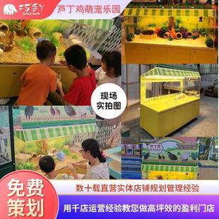 新款萌宠箱芦丁鸡小动物萌宠互动乐园饲养大号带造景配件萌宠乐园