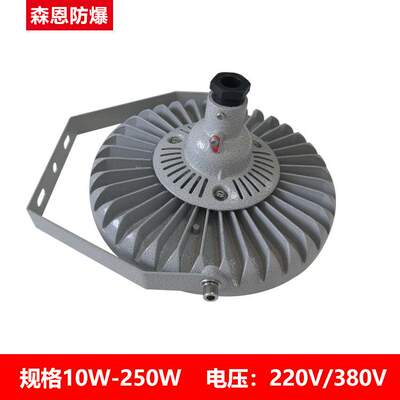厂用加油站防爆LED灯免维护节能防水LED灯吸顶灯10W-200W投光灯