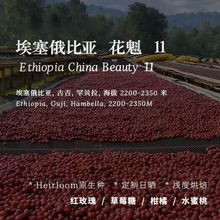 【AC Coffee】26产季空运批花魁11埃塞俄比亚罕贝拉手冲咖啡豆