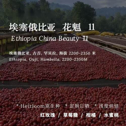 ACcoffee+花魁11+26产季+空运批