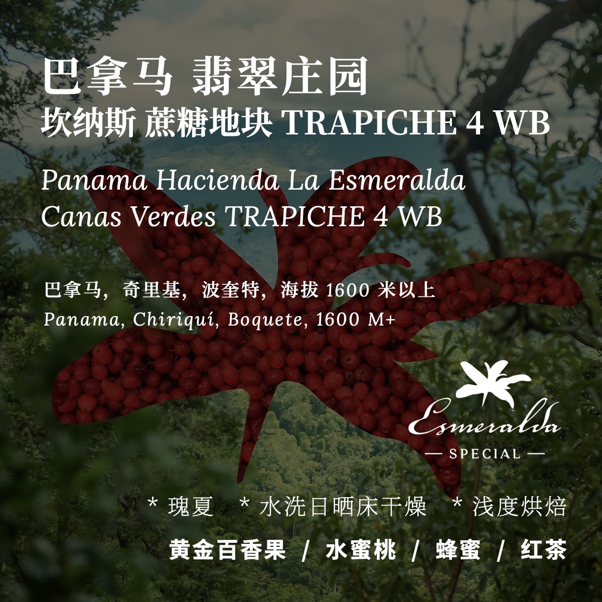 AC咖啡TRAPICHE4ANB水洗日晒