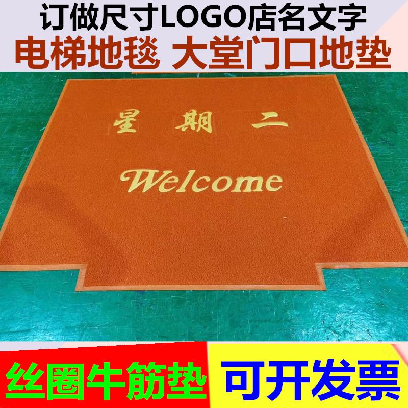 进门地垫入户门大门门口丝圈蹭脚垫子踩地毯家用防滑入门入户门垫