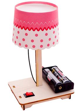 科学小制作DIY七彩小台灯 材料小学实验科技小发明材料创意