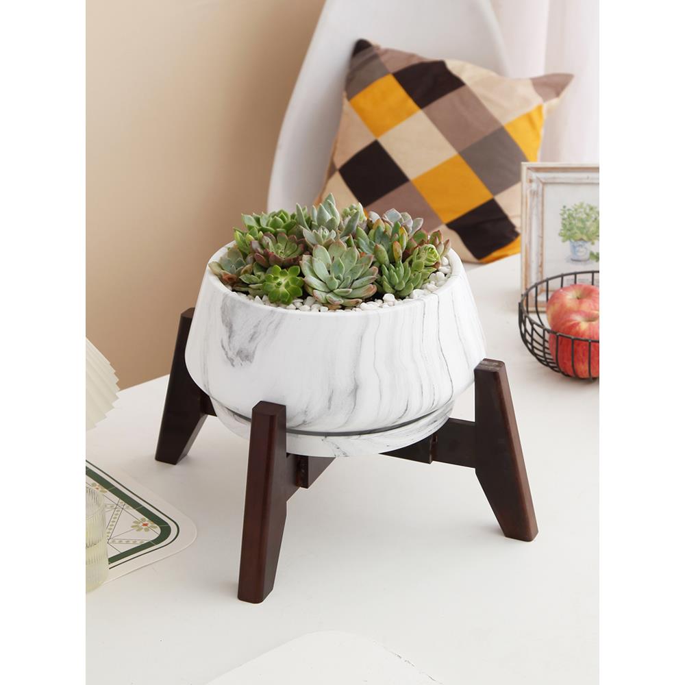 短和胖在可及的豪华多肉花盆陶瓷透气与托盘大个性化Pothos蝴蝶兰