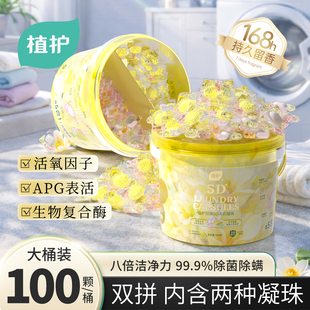 植护双拼除菌除螨洗衣凝珠洗衣球持久留香珠柔顺护衣香味浓缩实惠