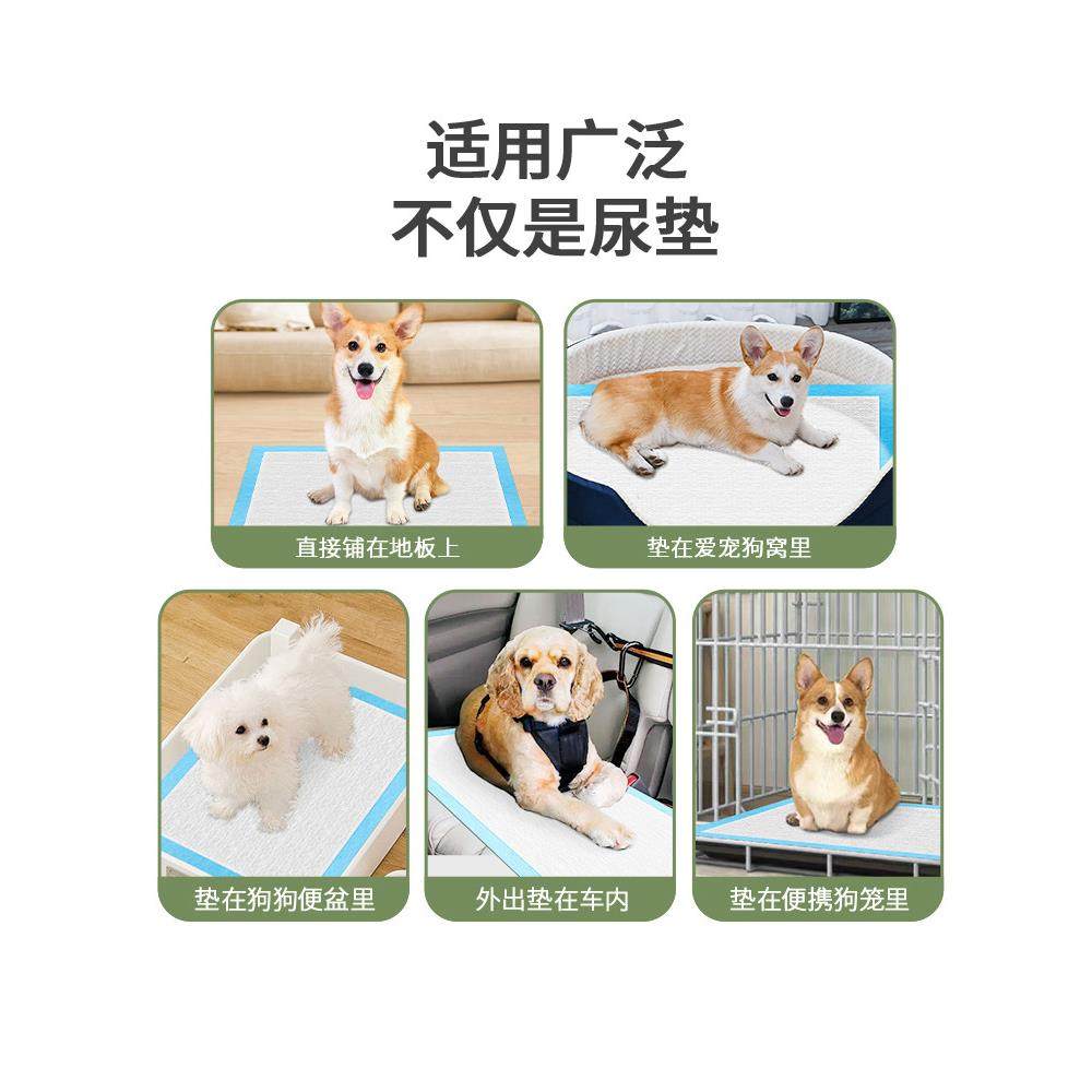 超大号除臭吸水宠物狗狗尿垫诱导因子尿片垫加厚猫咪厕所引导尿片,宠物/宠物食品及用品,尿片/尿垫/护垫,淘宝优惠券,粉丝福利购,淘宝优惠卷