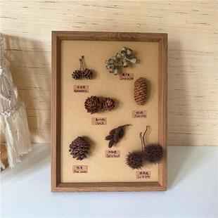 标本立体松果装饰画创意diy干花干果相框墙面森系摆件桌天然植物