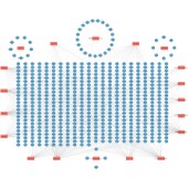 扩增子16s 18S ITS宏基因组测序数据分析微生物多样性测序基因组