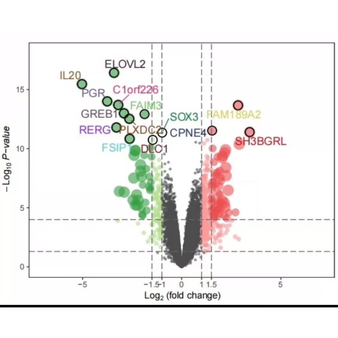 r语言安装包rstudio软件下载远程安装生信包代码报错调试问题解决
