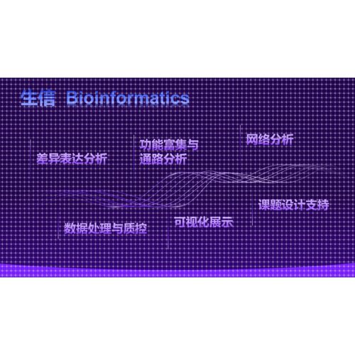 生信分析 Bioinformatics Analysis