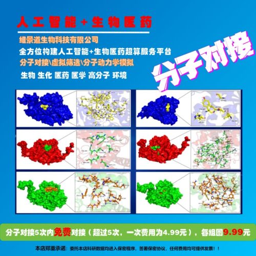 分子对接/虚拟筛选/分子动力学/作图/模型预测/教学/蛋白对接