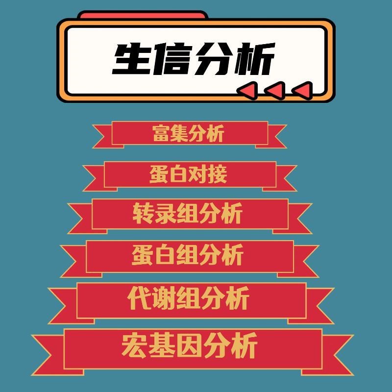 生信分析个性化服务医学生信分析一条龙服务TCGA GEO数据库挖掘