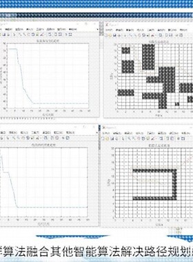 MATLAB遗传粒子群蚁群算法路径规划算法多目标优化Python强化学习