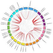 单细胞空间转录组分析结合深度学习AI算法高分定制服务生信分析服