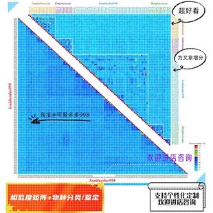 序列分析 多序列比对 相似度同源性 变异性分析个性化绘图