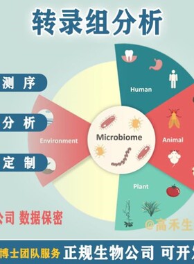 R语言代码Rstudio绘图SCI科研生信医学桑基热图数据分析作图