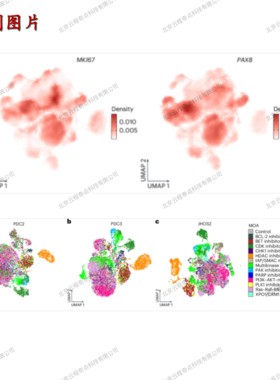 科研绘图|生信|单细胞转录组|轨迹分析|Monocle2|Monocle3