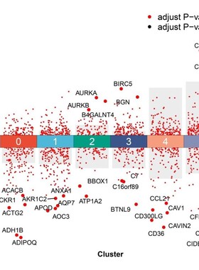 R语言代码Rstudio绘图SCI科研生信医学桑基热图数据分析作图服务