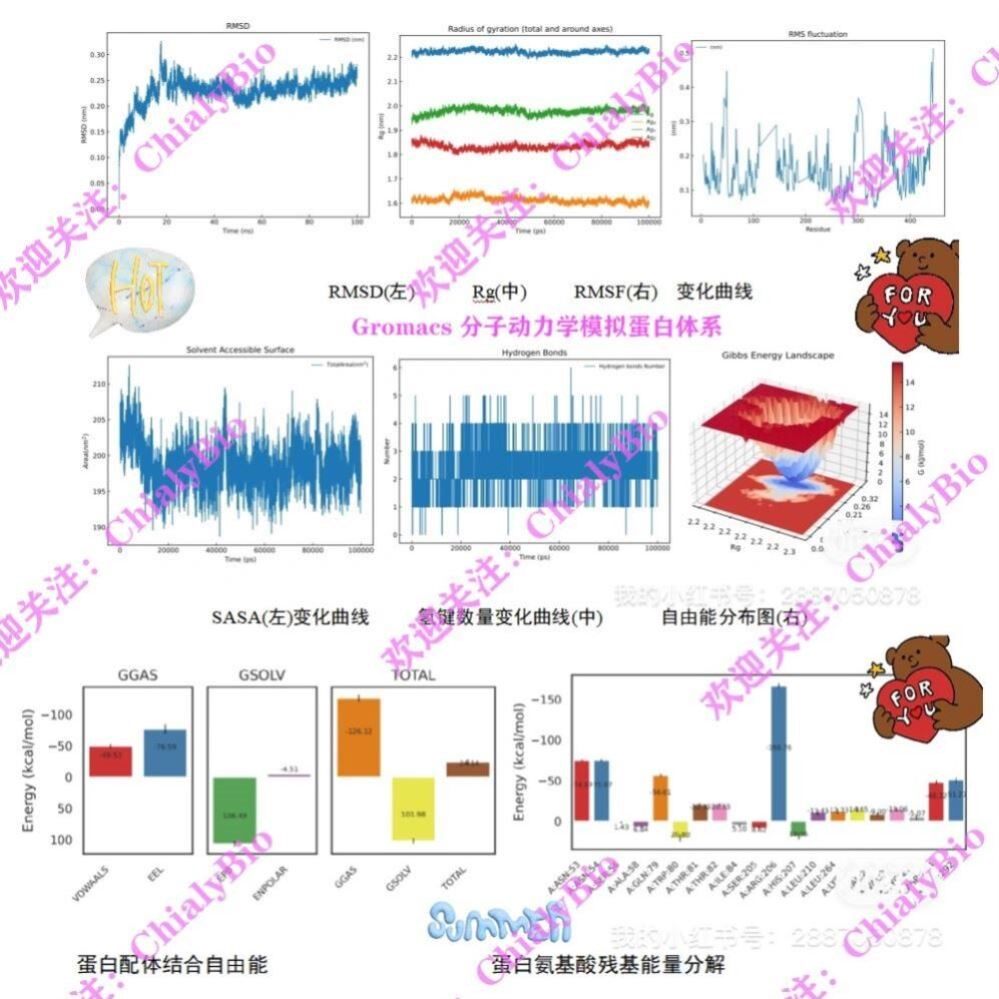 分子动力学模拟Gromacs 网络药理学分析 中药复方RMSD 
