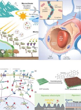科研绘图封面信号通路医学SCI作图插画 机制图TOC摘要图画图 制图