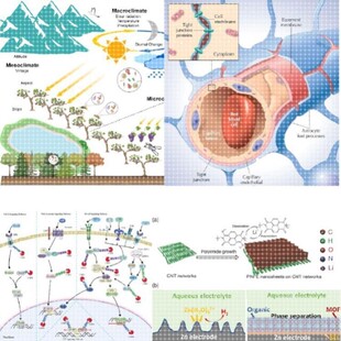 科研绘图封面信号通路医学SCI作图插画 机制图TOC摘要图画图 制图