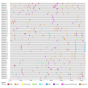 基因家族鉴定分析染色体定位启动子分析进化树结构域共线性