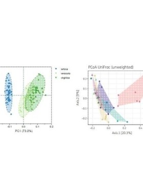 生信分析基因蛋白质测序数据分析差异分析富集分析R语言Python
