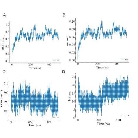 分子动力学模拟 分子动力学代算 生物分子计算 amber gromacs代算