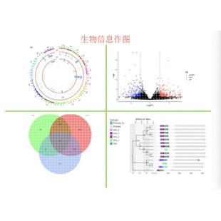 GO/KEGG/热图/circos作图/火山图/venn图/生物信息作图