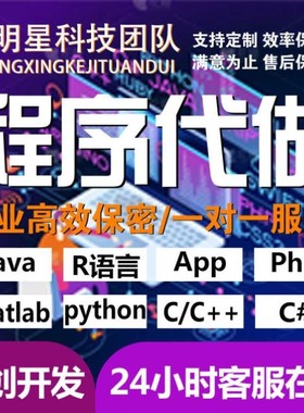 代码编写java系统开发Python代做c/c++程序代编程c#设计R语言接单