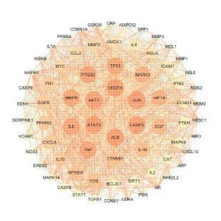 网络药理学专业代做 cytoscape作图 GO/KEGG富集 PPI网络