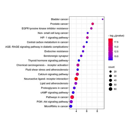 生信生信分析mRNA miRNA lncRNA相关性分析散点图共表达