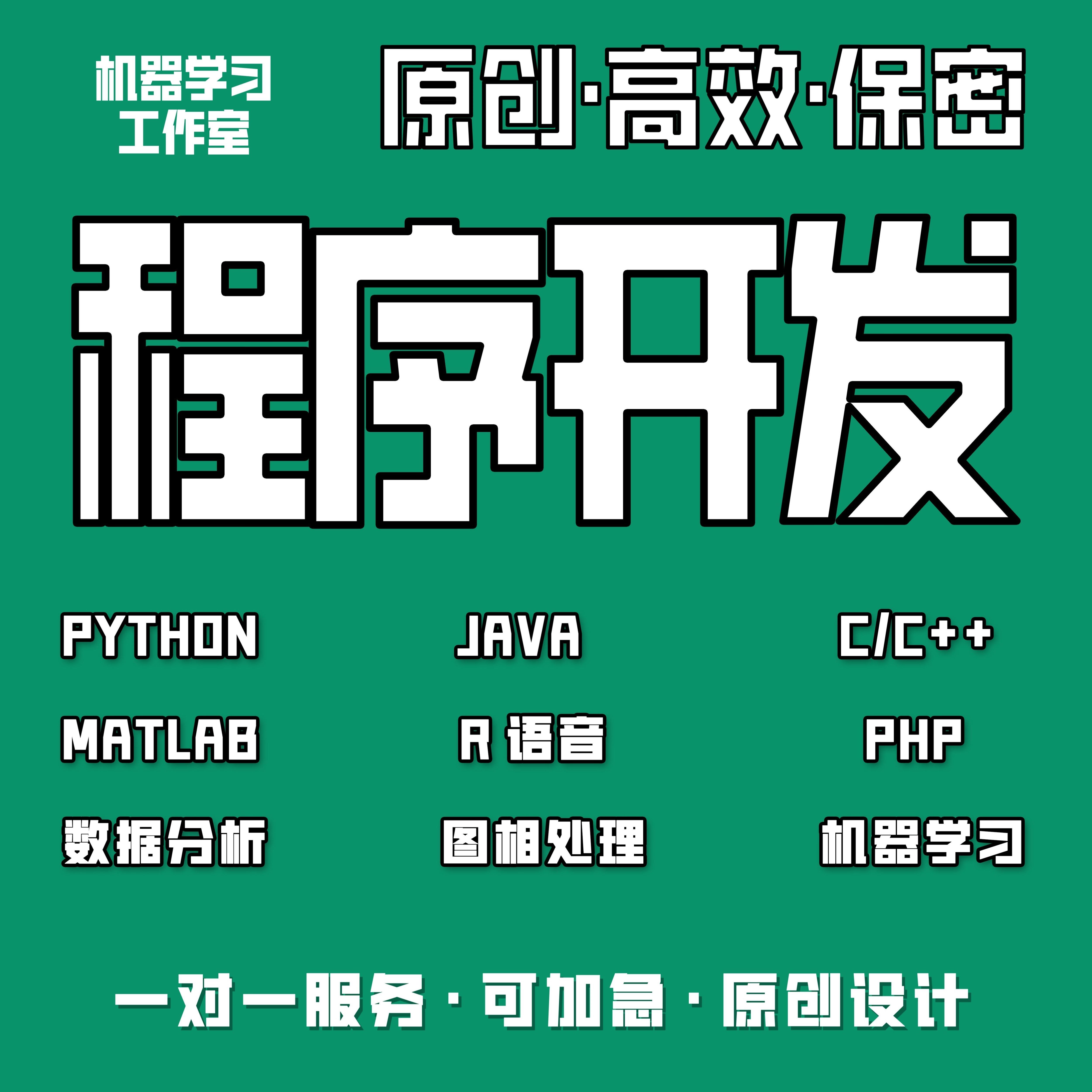 计算机python代编java程序代做c/c++代码编写c#设计开发r语言代写